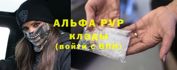 стафф Богородск