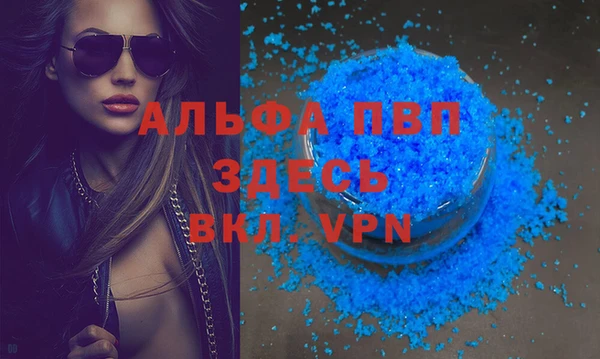 стаф Беломорск