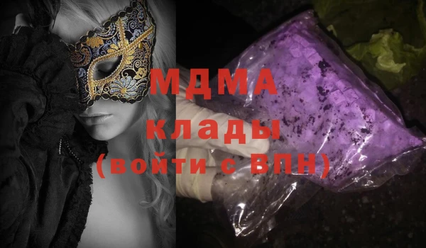 дживик Няндома
