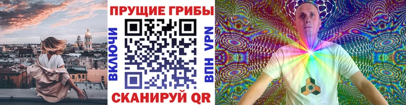 наркошоп  Боготол  Псилоцибиновые грибы ЛСД 